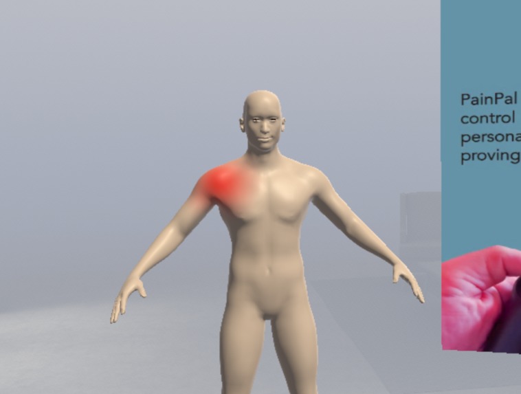 PainPal – screenshot 1